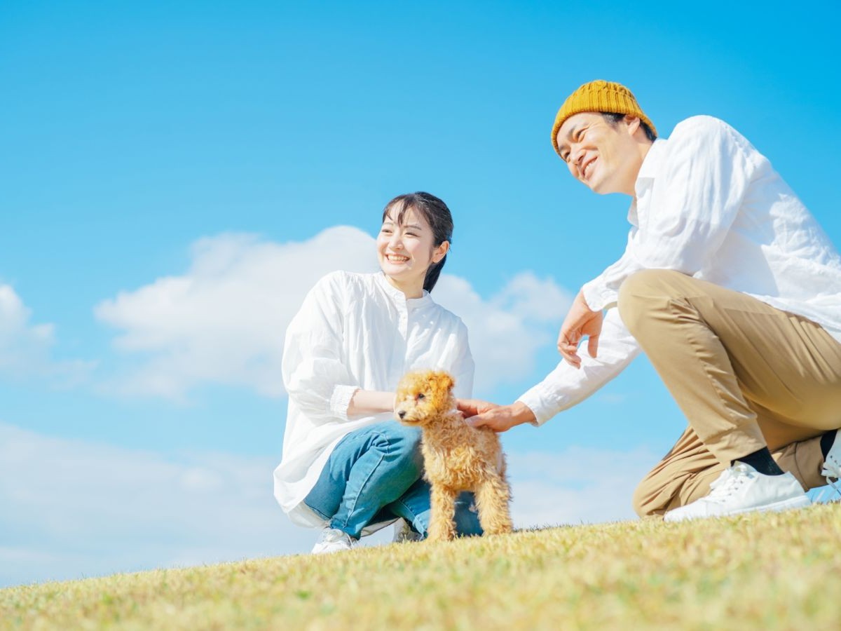 住宅リノベーションを検討している男女と愛犬