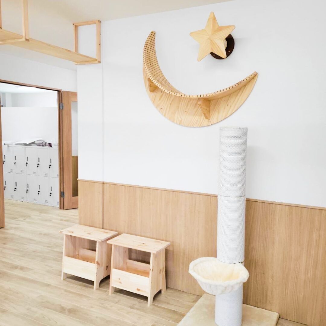 大阪市東淀川区の猫カフェリノベーション事例。三日月と星をかたどった木製の飾り棚（キャットシェルフ）と爪とぎポール｜造作工事