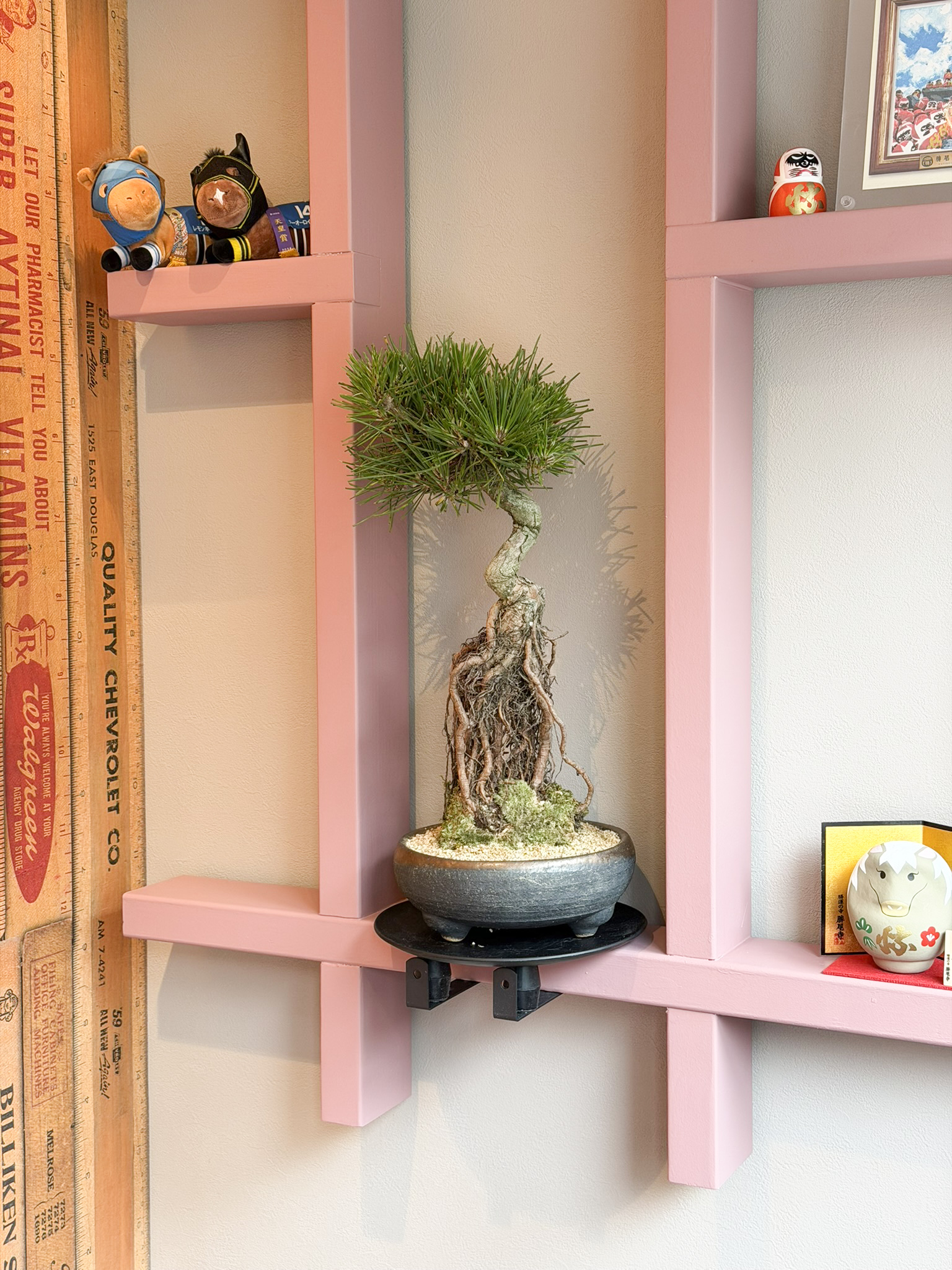 堺市西区の店舗リノベーション事例 観葉植物を飾ったピンクの造作ディスプレイ棚|造作工事